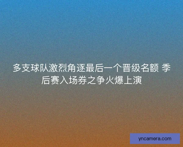多支球队激烈角逐最后一个晋级名额 季后赛入场券之争火爆上演