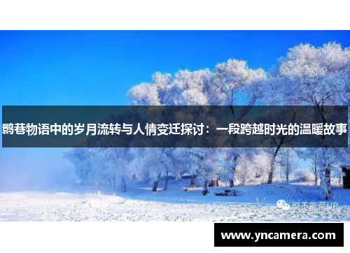 鹮巷物语中的岁月流转与人情变迁探讨：一段跨越时光的温暖故事