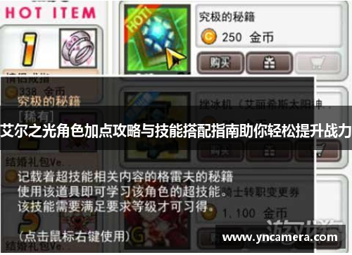 艾尔之光角色加点攻略与技能搭配指南助你轻松提升战力