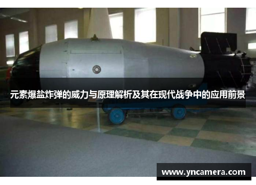 元素爆盐炸弹的威力与原理解析及其在现代战争中的应用前景