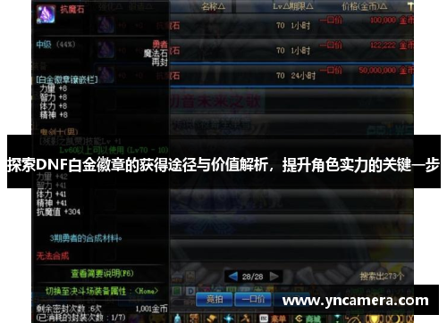 探索DNF白金徽章的获得途径与价值解析，提升角色实力的关键一步