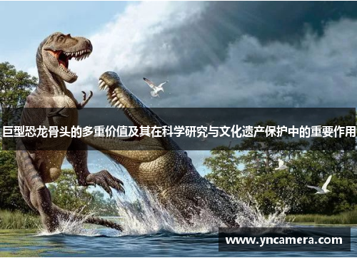 巨型恐龙骨头的多重价值及其在科学研究与文化遗产保护中的重要作用
