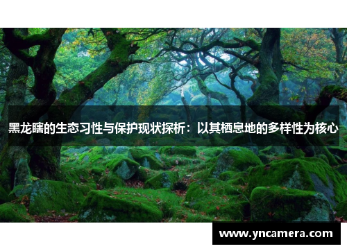 黑龙瞎的生态习性与保护现状探析：以其栖息地的多样性为核心
