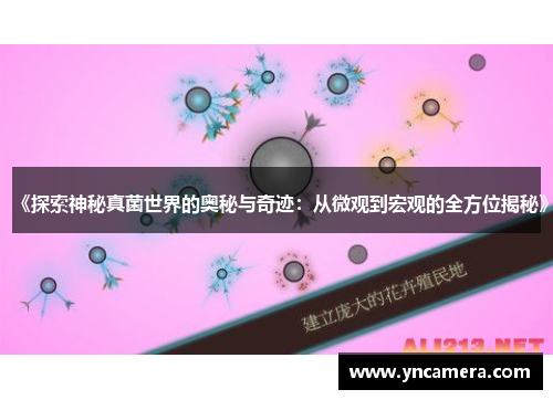 《探索神秘真菌世界的奥秘与奇迹：从微观到宏观的全方位揭秘》