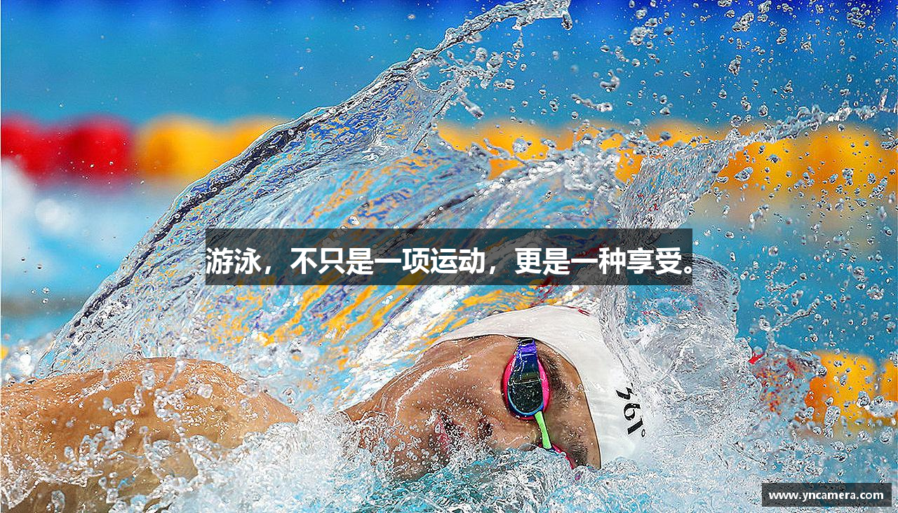 j9九游会官方入口