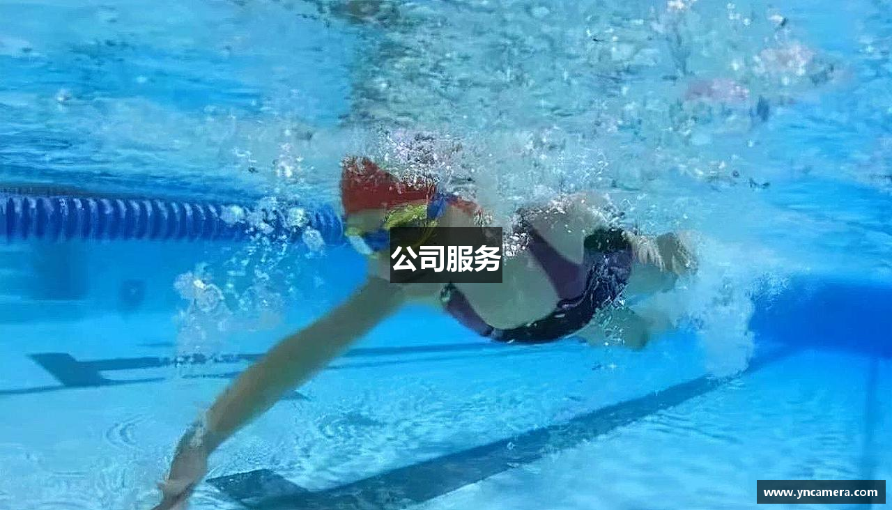 公司服务